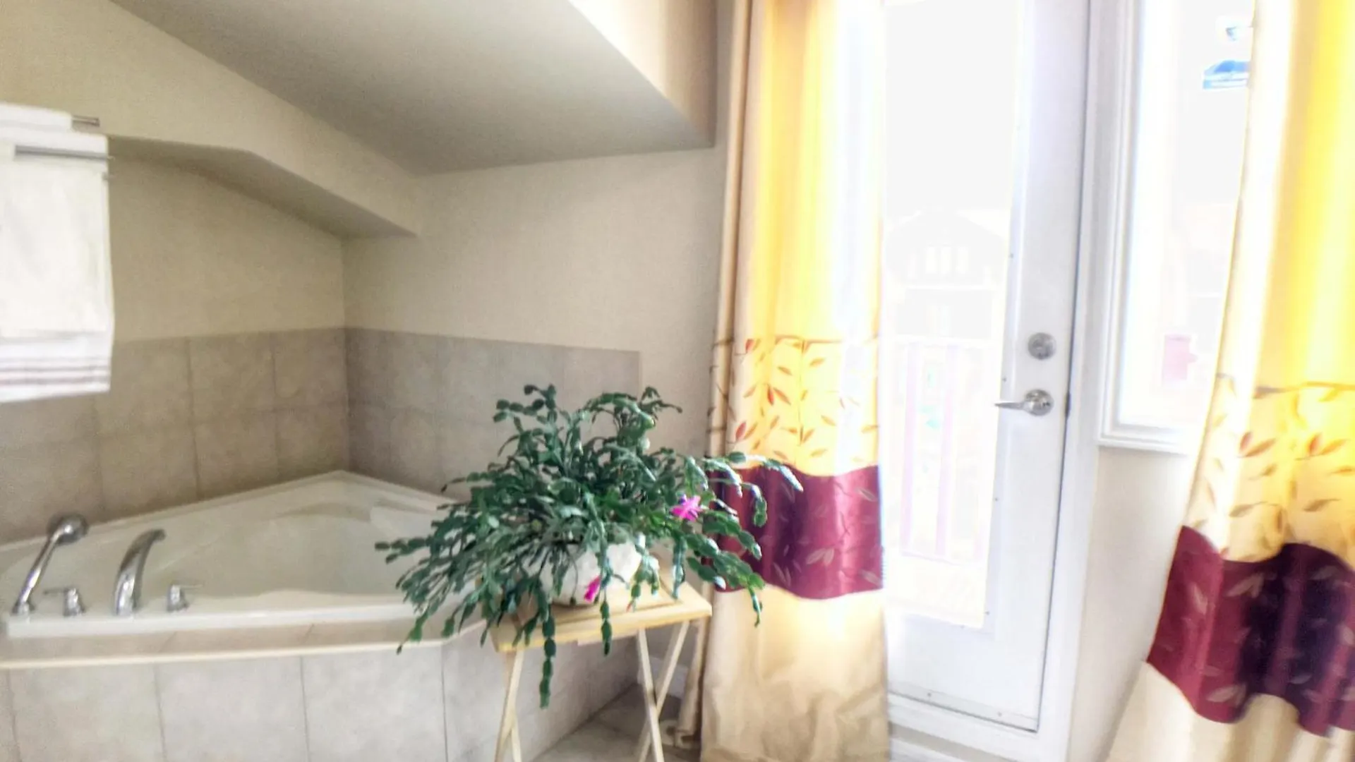 홈스테이 Stunning Rooms In Townhouse Across The Beach 토론토